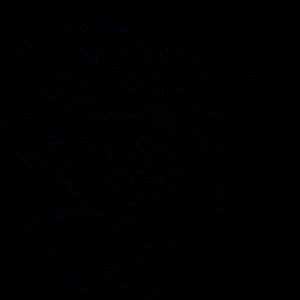 Meet your Posher, Bodie